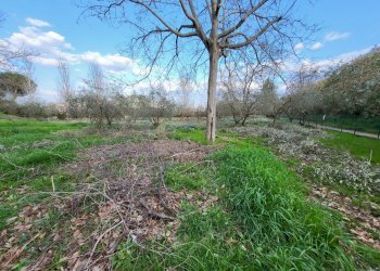 Foto 2 - Building land Città Sant'Angelo - photo 2