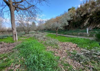 Foto 3 - Building land Città Sant'Angelo - photo 3