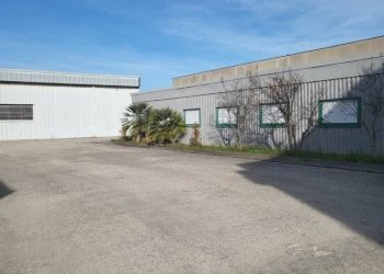 Foto 10 - Capannone Via Fosso Foreste, Montesilvano - foto 10