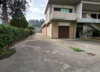 Foto 4 - Capannone Strada statale 16, Silvi - foto 4