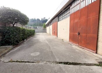 Foto 7 - Capannone Strada statale 16, Silvi - foto 7