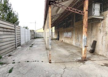 Foto 8 - Capannone Strada statale 16, Silvi - foto 8