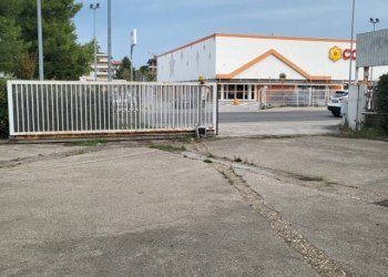 Foto 19 - Capannone Strada statale 16, Silvi - foto 19