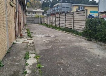 Foto 23 - Capannone Strada statale 16, Silvi - foto 23