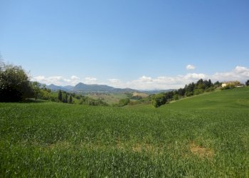 Terreno - Agricultural land Poggio San Marcello - photo 1