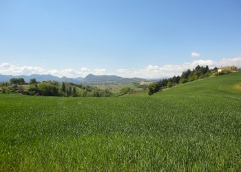 Foto 3 - Agricultural land Poggio San Marcello - photo 3