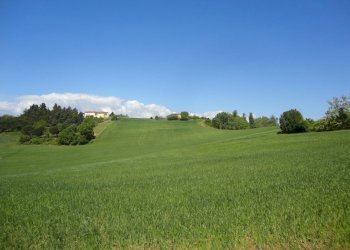 Foto 5 - Agricultural land Poggio San Marcello - photo 5