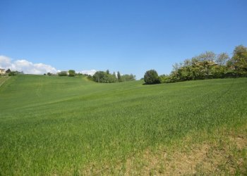 Foto 6 - Agricultural land Poggio San Marcello - photo 6