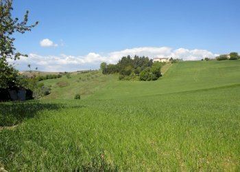 Foto 8 - Agricultural land Poggio San Marcello - photo 8