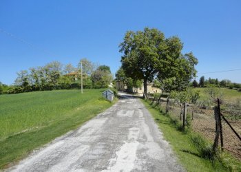 Foto 9 - Agricultural land Poggio San Marcello - photo 9