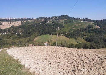 Foto 21 - Rustic Via San Marco di sotto, Cupramontana - photo 16