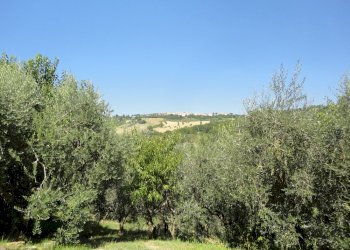 Foto 43 - Rustic Via San Marco di sotto, Cupramontana - photo 37