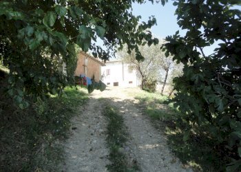 Foto 48 - Rustic Via San Marco di sotto, Cupramontana - photo 42