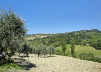 Foto 49 - Rustic Via San Marco di sotto, Cupramontana - photo 43