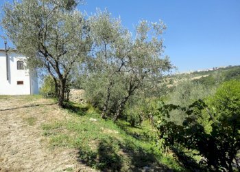 Foto 50 - Rustic Via San Marco di sotto, Cupramontana - photo 44