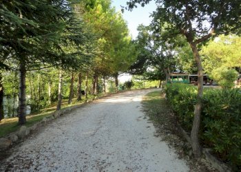 Foto 15 - Rustic Via Santa Maria Del Monte
 
18, Poggio San Marcello - photo 15