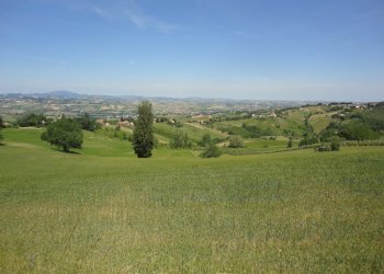 Foto 1 - Terreno agricolo Via Bacucco, Montecarotto - foto 1