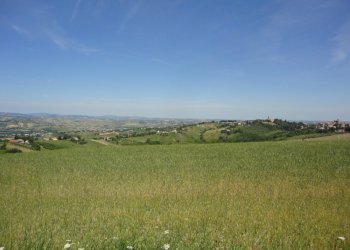 Foto 4 - Terreno agricolo Via Bacucco, Montecarotto - foto 3