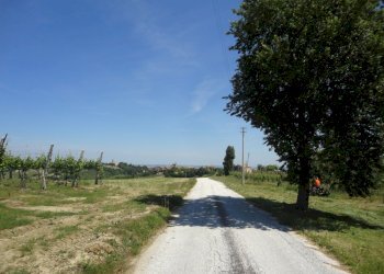 Foto 6 - Terreno agricolo Via Bacucco, Montecarotto - foto 5