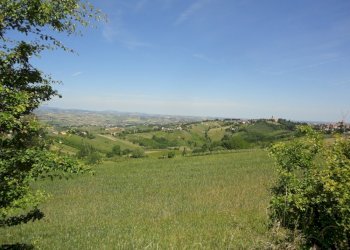 Foto 11 - Terreno agricolo Via Bacucco, Montecarotto - foto 10