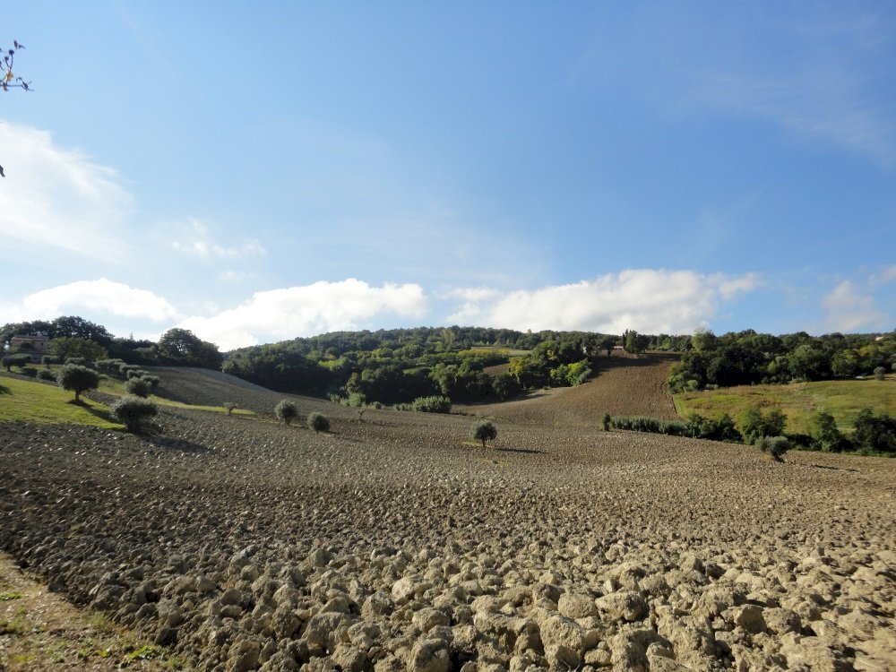 Foto 1 - Terreno agricolo Mummuiola, Cingoli - foto 1