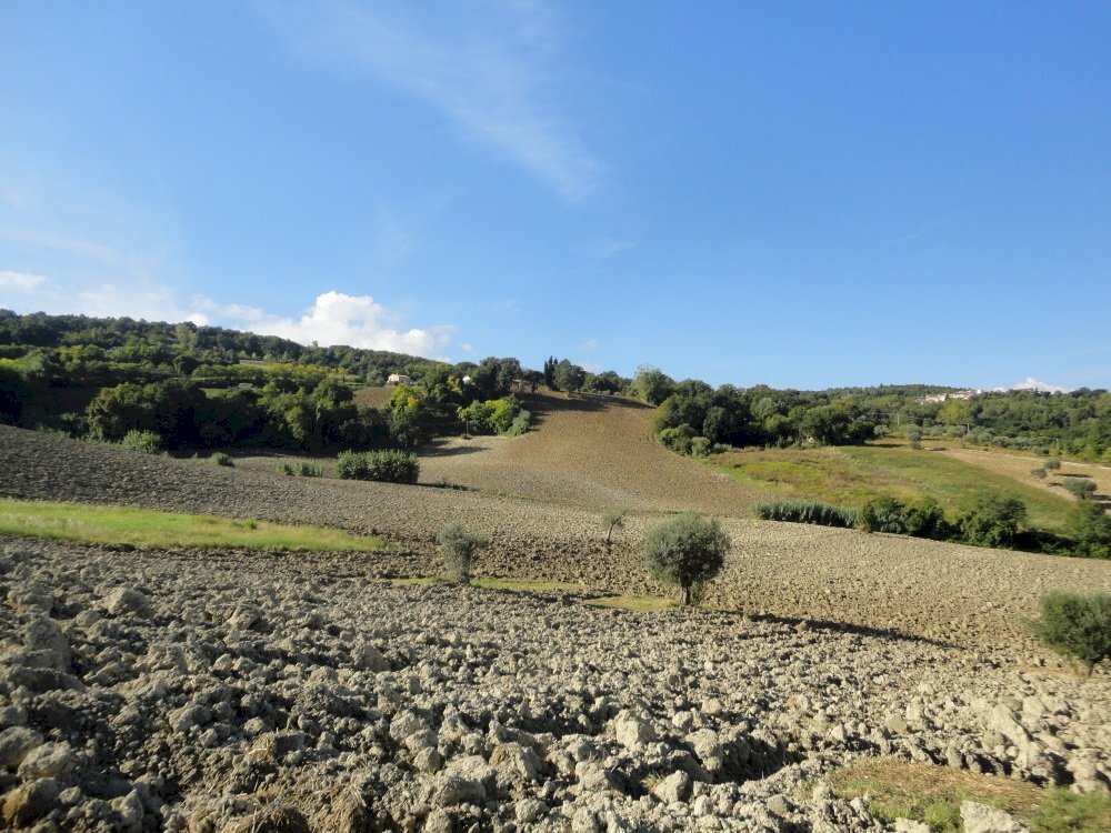 Foto 3 - Terreno agricolo Mummuiola, Cingoli - foto 3
