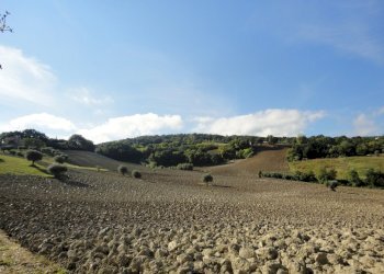 Foto 1 - Terreno agricolo Mummuiola, Cingoli - foto 1