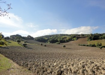 Foto 2 - Terreno agricolo Mummuiola, Cingoli - foto 2