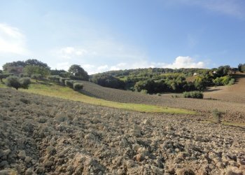 Foto 4 - Terreno agricolo Mummuiola, Cingoli - foto 4