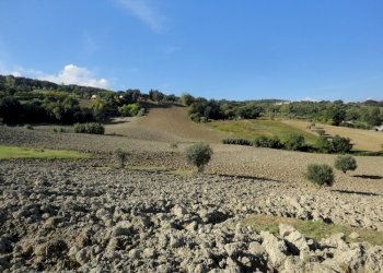Foto 5 - Terreno agricolo Mummuiola, Cingoli - foto 5