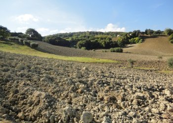 Foto 6 - Terreno agricolo Mummuiola, Cingoli - foto 6