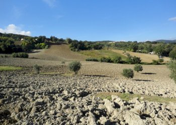 Foto 7 - Terreno agricolo Mummuiola, Cingoli - foto 7