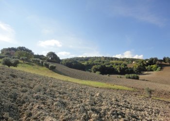 Foto 9 - Terreno agricolo Mummuiola, Cingoli - foto 9