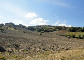 Foto 12 - Terreno agricolo Mummuiola, Cingoli - foto 12