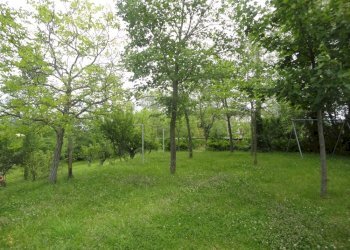 Foto 15 - Quadrilocale Via Fornelle, Apiro - foto 15