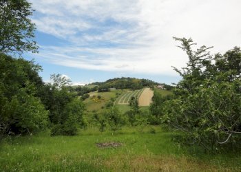 Foto 20 - Quadrilocale Via Fornelle, Apiro - foto 20