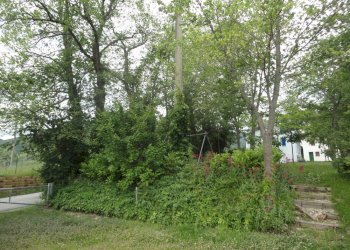 Foto 22 - Quadrilocale Via Fornelle, Apiro - foto 22