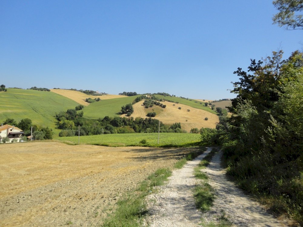 Foto 3 - Agricultural land Bagnatora, Jesi - photo 2