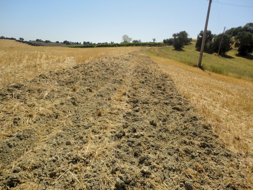 Foto 5 - Agricultural land Bagnatora, Jesi - photo 3