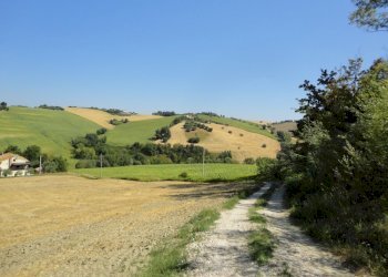 Foto 3 - Agricultural land Bagnatora, Jesi - photo 2