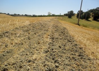 Foto 5 - Agricultural land Bagnatora, Jesi - photo 3