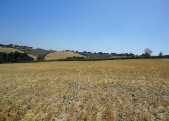 Foto 8 - Agricultural land Bagnatora, Jesi - photo 5