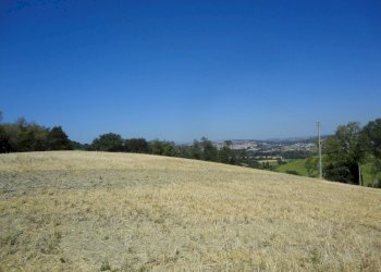 Foto 9 - Agricultural land Bagnatora, Jesi - photo 6