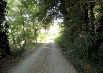 Foto 10 - Agricultural land Bagnatora, Jesi - photo 7