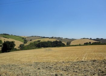 Foto 11 - Agricultural land Bagnatora, Jesi - photo 8