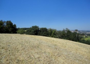 Foto 12 - Agricultural land Bagnatora, Jesi - photo 9