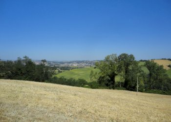 Foto 13 - Agricultural land Bagnatora, Jesi - photo 10