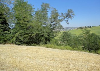 Foto 15 - Agricultural land Bagnatora, Jesi - photo 12