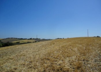 Foto 16 - Agricultural land Bagnatora, Jesi - photo 13