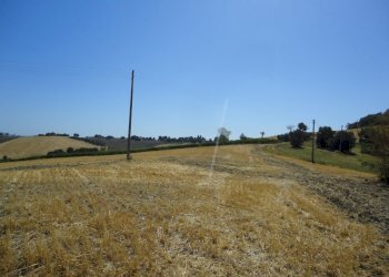 Foto 17 - Agricultural land Bagnatora, Jesi - photo 14